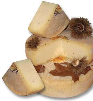 Formaggio Vaccino al Tartufo - Formaggeria - horecahub.myshopify.com